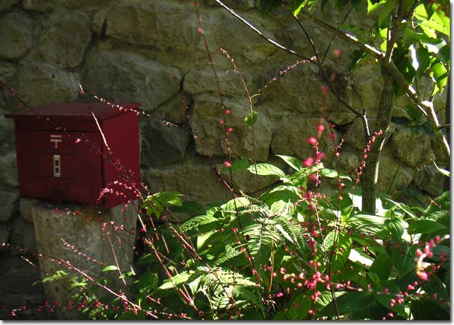 ���֑O�̃~�Y�q�L�\�E