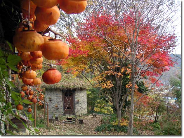 �I�I���}���~�W�Ɛΐς݂̏���