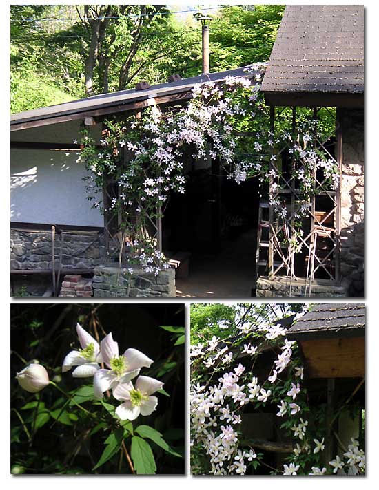 �����̊Ԃ̒ʘH�̃N���}�`�X�����^�i���[�x���X