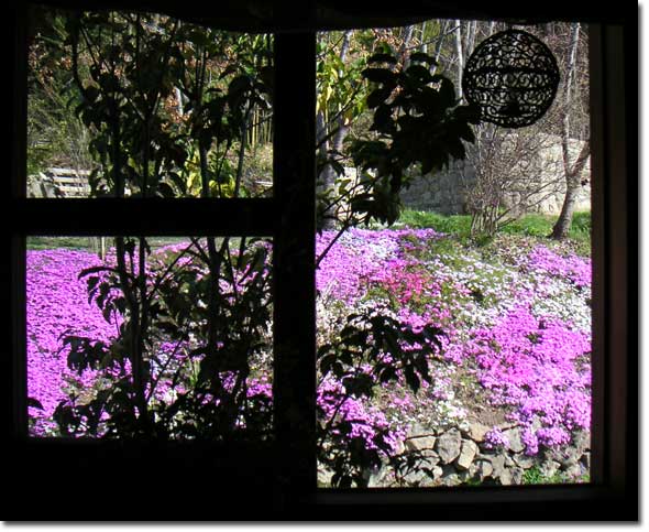 ���z���Ɍ���V�o�U�N��