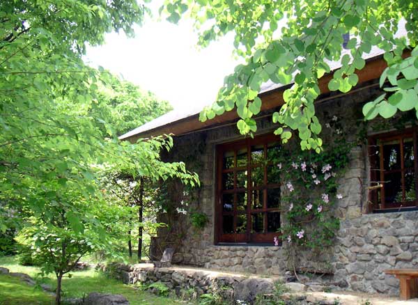 �V�΂̑O��Ɛΐς݂̉�