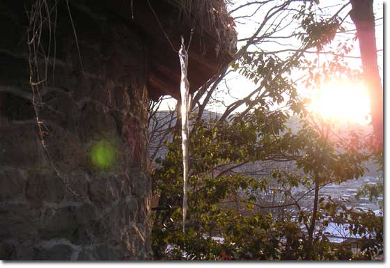 ���ɕ������悤�Ɍ�������