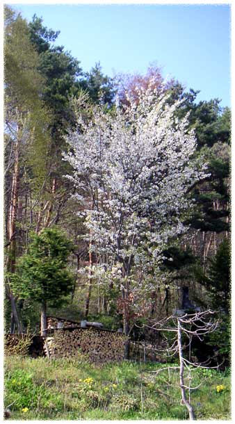 ���}�U�N��