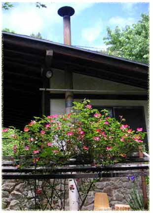 �g�C���Ɨ����̕ʓ��̑O�ɐA����ꂽ�Ԃ��J�N�e���A�ΐς݂ɂ������ǂɂ���ɂ��f����