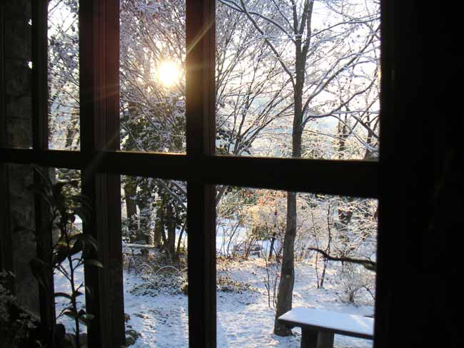 �H��e�[�u���̑����猩�鑁���̐�i�F