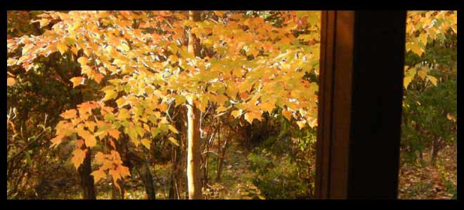 ������������n�i�m�L�̍g�t