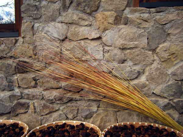 �C�g�X�X�L�̐c�ƐΕ�