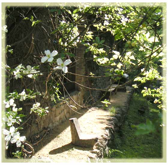 �Ƃ̑O�A�X�m�[�t���[�N�ƃL���b�R�E�o���̃A�[�`���t���ɓ�����[��