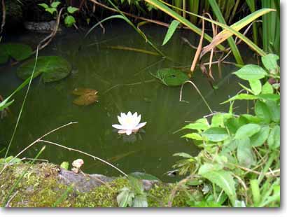 �r�̑S�̂ƈ�ւ̃X�C����