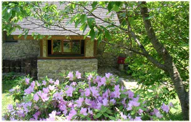 �΂ɉf���郂�`�c�c�W�z���Ɍ��錺��