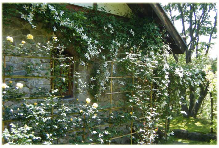 �����A�ΕǑS�̂ɍL�������N���}�`�X������^�i�X�m�[�t���[�N