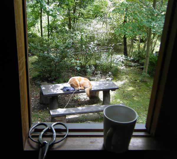 �炭�����A�ؘR����̉��ŁA�Q�Ă܂�