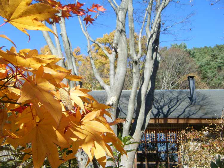 ����ƍg�t�ƁA�����`