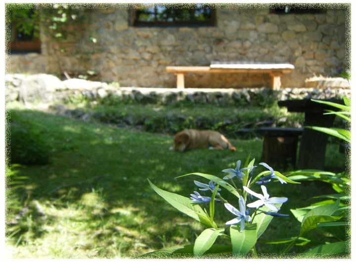 ���q���̌������ł炭�����낢�ł���