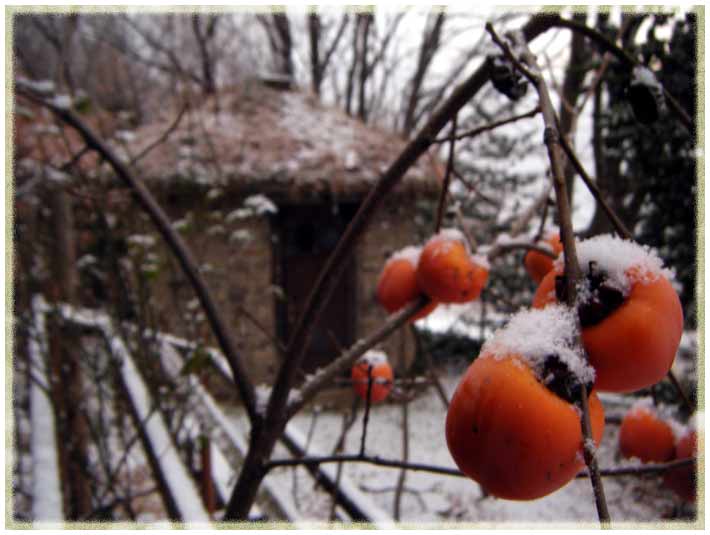 �`�̎��ɏ��Ⴊ�ς�����