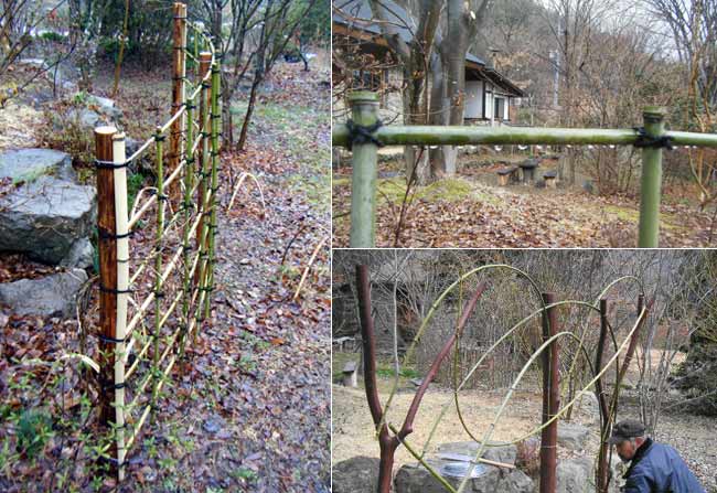 �S�̂��p�Ȃ����|�_�̗l�q�ƁA�O��̒|�t�F���X