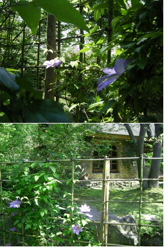 �|�̒|�_�ƃN���}�`�X