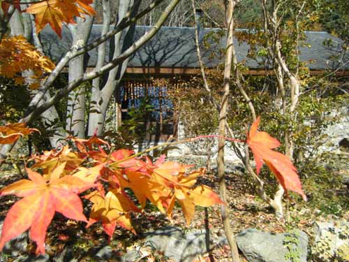 �t���ς������Ē�����邢�~�o�[�W�����ɕς��