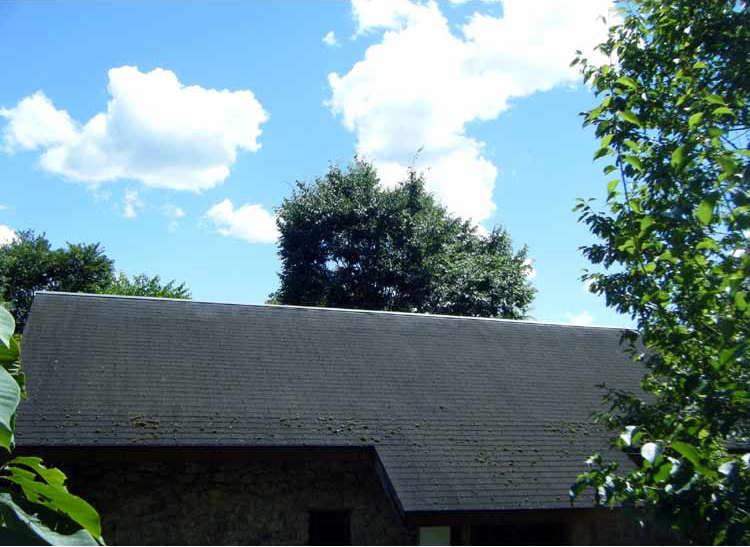 �Ă̐���Ɣ����_