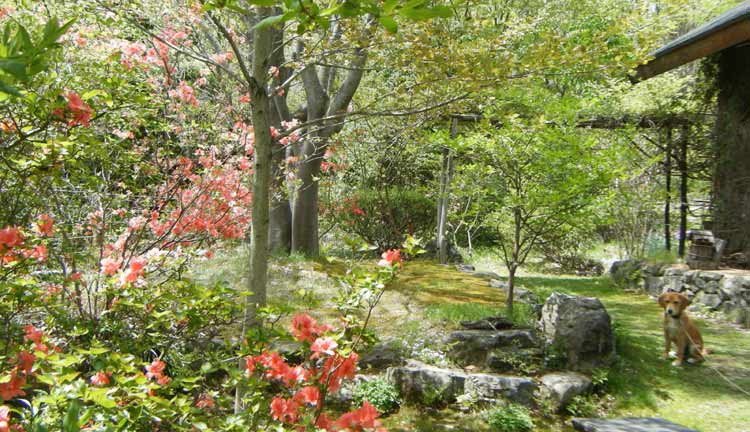 ���}�c�c�W�����J�A�炭������