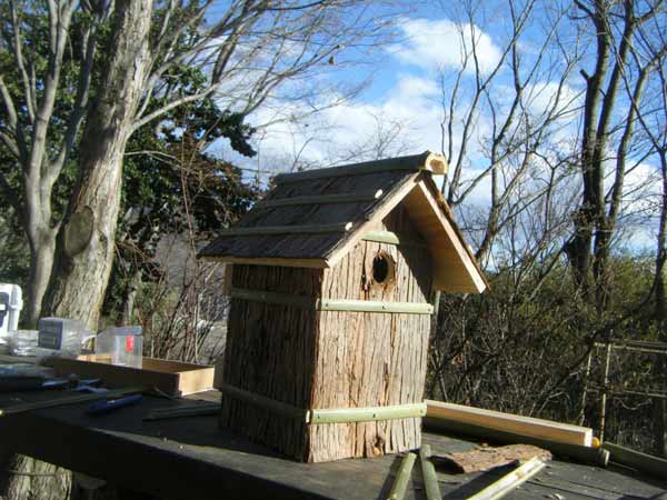 �V��������