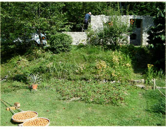 �ΐς݂̉ƂƔ~�������i