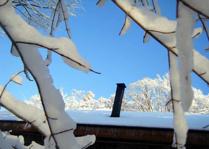 �g�i�J�C�̊p�̂悤�Ȏ}�ɐς�������i�F