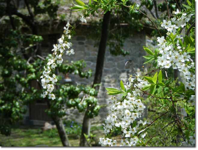 ���L���i�M�z���Ɍ���ΐς݂̊ۂ�����