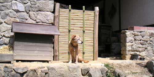 �V����������_�ƈ����r�r