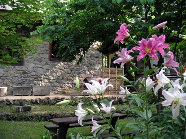 �炫�ւ郆���ƐΕǂ̉�