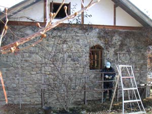 �o���̙����Ƃ̎n�܂�