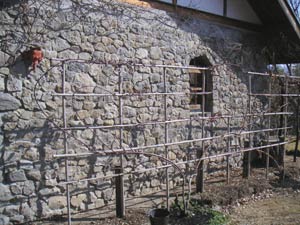 �o���̙����ƁA�I��