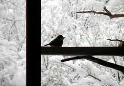 ��̓��̏���