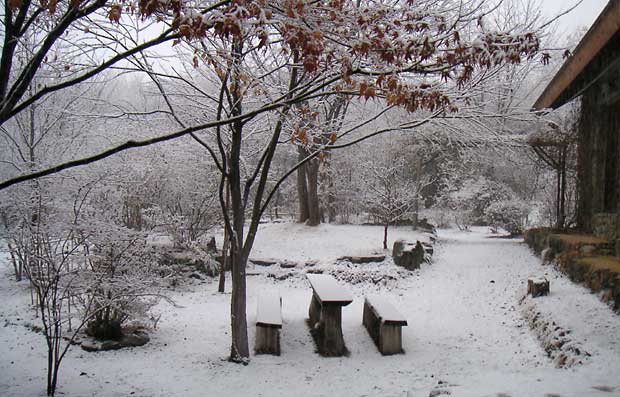 ��ɏ_�炩���t�̐Ⴊ�~��ς���