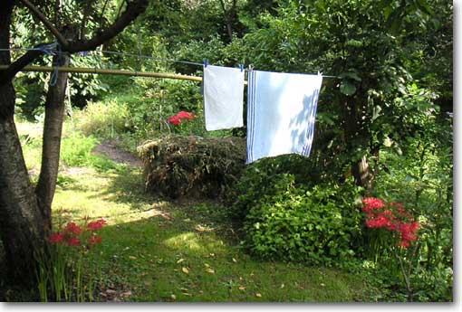 ���������󕨂Ɣފ݉�