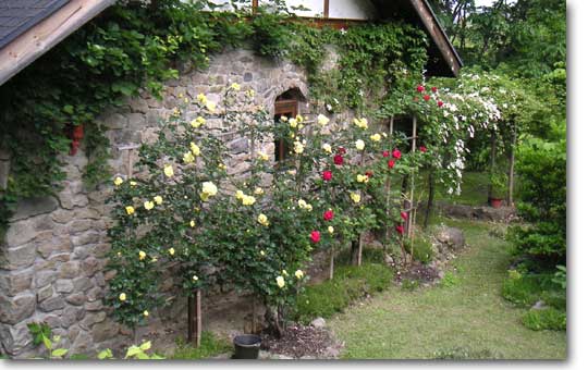 �c���o���ƐΕ�