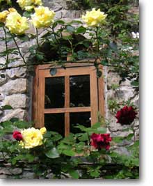 ���ƃc���o��