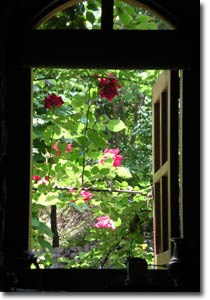 ���̑����猩����O�̃c���o��