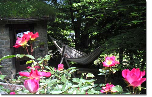 �o���z���Ɍ����鏬���ƃn�����b�N