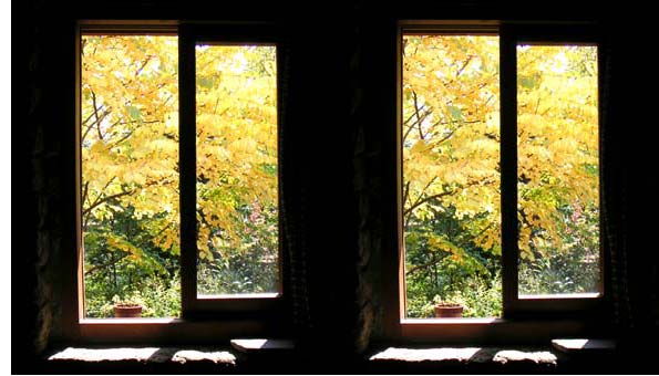 ���z���Ɍ�����^���F�ɍg�t�����J�c��