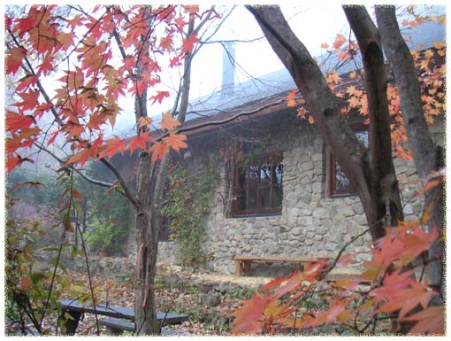 �����������߂�΂̉�