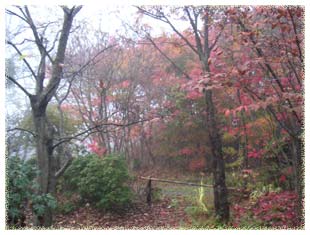 �g�t�ƒ���