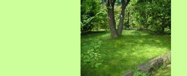 ���̃P���L���ɂЂ낪���