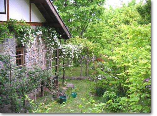 �Α���̉ƂƃN���}�`�X