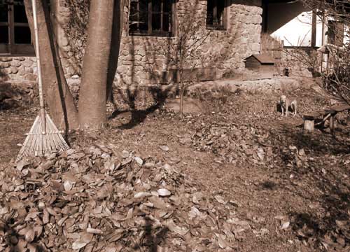 ��̗����t�|��