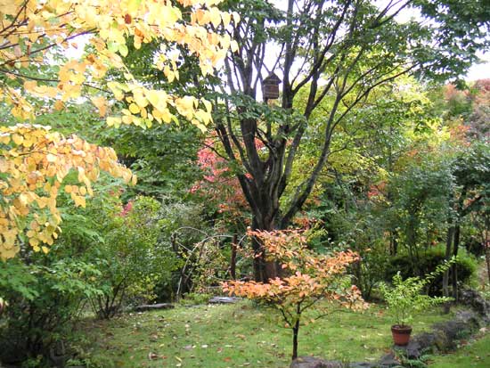 �g�t���n�܂����O��̗l�q