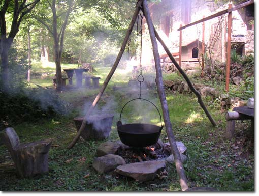 �F�ɂ�������Ɖ�