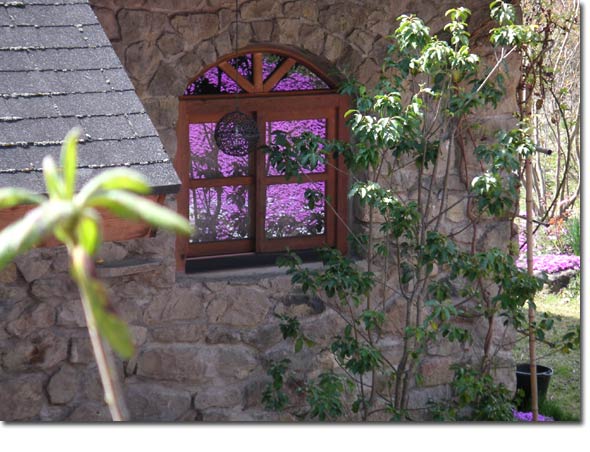 ���K���X�ɉf�肱�񂾎ō�