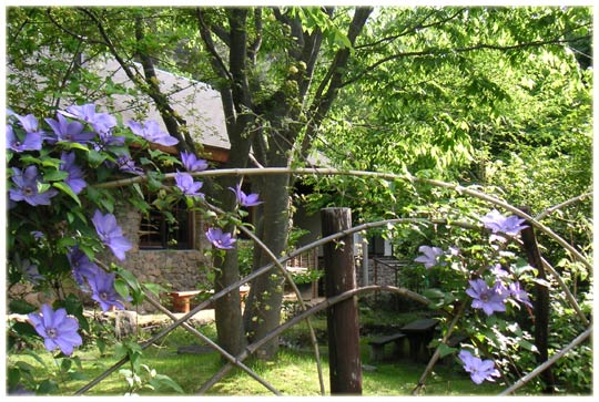 �|�_�ɗ��ރN���}�`�X