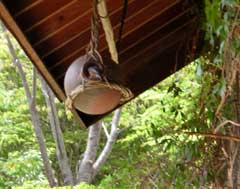 �����ɉ������ق̑����ɓ���u�Ԃ̃��}�K��